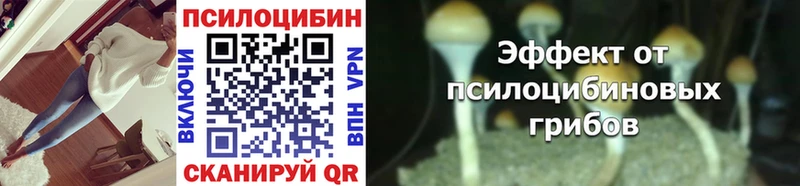 Псилоцибиновые грибы GOLDEN TEACHER  Дятьково 